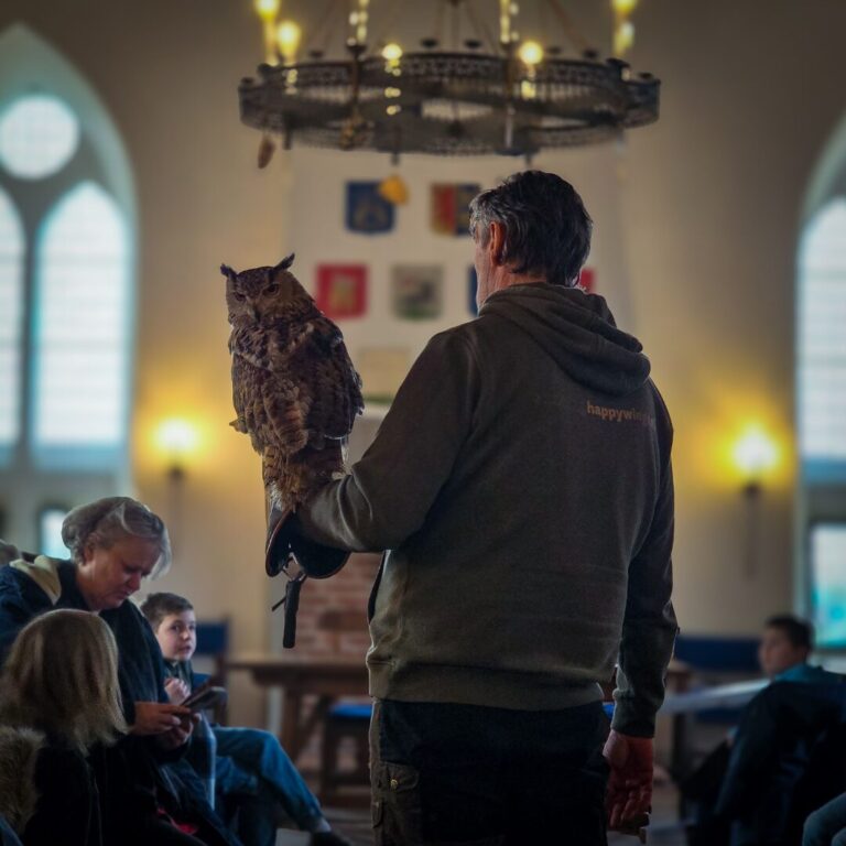 Uilenworkshop dinsdag — familie-kids in Medemblik