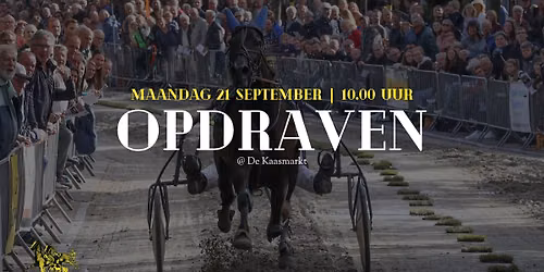 Opdraven in Medemblik
